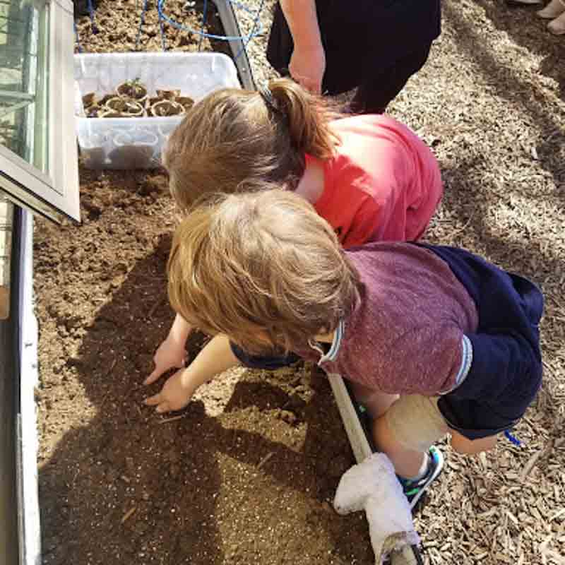 Two private kindergarten students plant seeds outdoors.