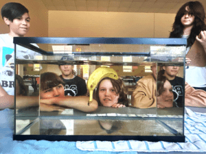 7th graders look at banana in aquarium at STEM middle school in Austin.