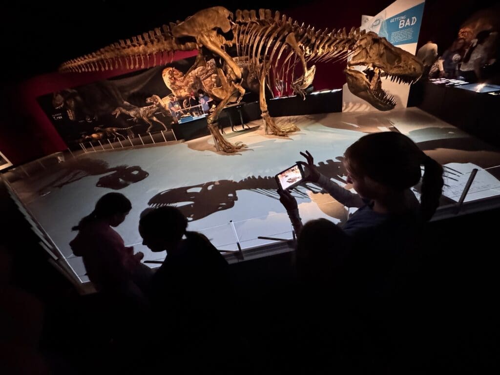 Middle school student looks at T-rex at micro school.